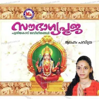 Amme Narayana - Various Artists album cover 