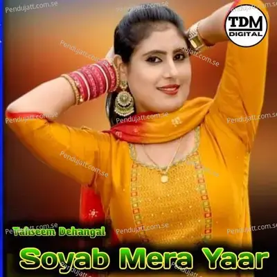 Soyab Mera Yaar - Tahseem Dehangal album cover 