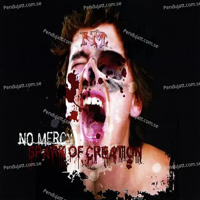 Nothing Safe - No Mercy album cover 