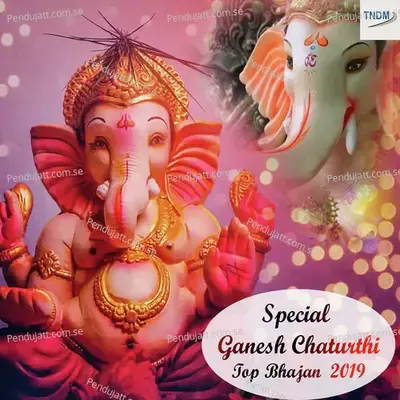 Jai Jai Ganesh Hariye Kalesh - Saloni Bhardwaj album cover 