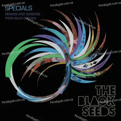 One Step At A Time - The Black Seeds album cover 