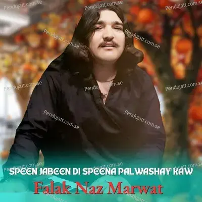 Speen Jabeen Di Speena Pal Washay Kaw - Falak Naz Marwat album cover 