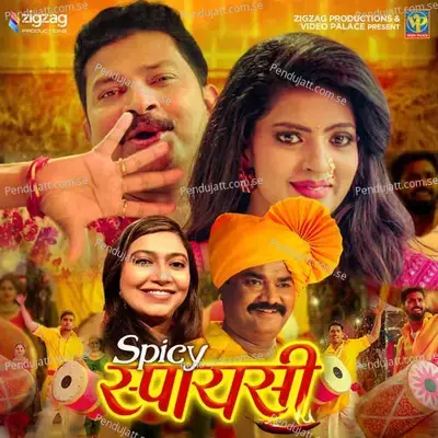 Spicy Spicy - Anand Shinde album cover 