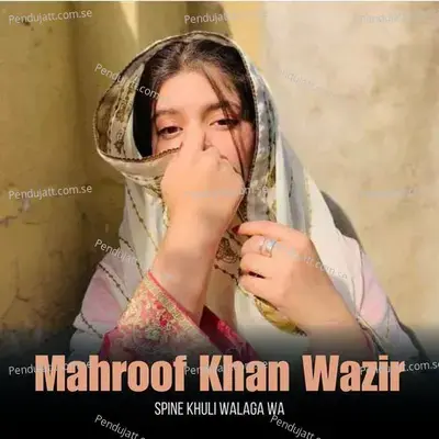 Spine Khuli Walaga Wa - Mahroof Khan Wazir album cover 