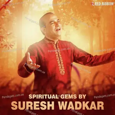 Tan Man Dhan Tujhpe Arpan - Suresh Wadkar album cover 