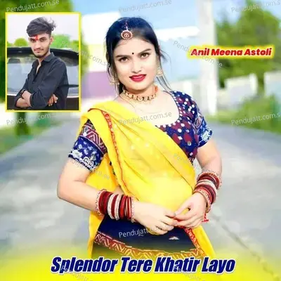 Splendor Tere Khatir Layo - Anil Meena Astoli album cover 