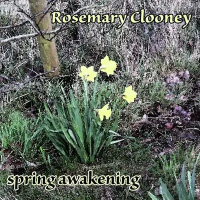 Spring Awakening - Rosemary Clooney cover album