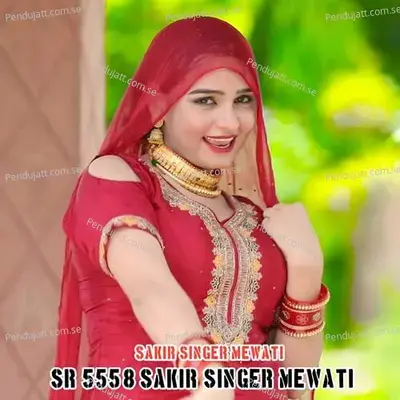 Sr 5558 Sakir Singer Mewati - Sakir Singer Mewati album cover 