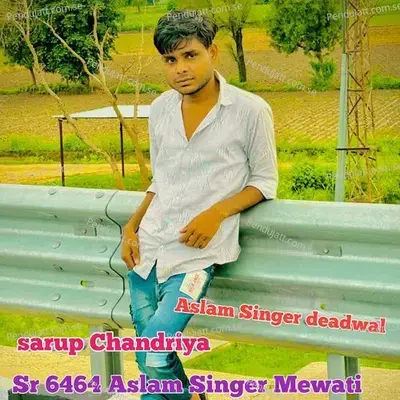 Sr 6464 Aslam Singer Mewati - Aslam Singer Deadwal album cover 