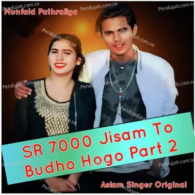 Sr 7000 Jisam To Budho Hogo  Pt 2 - Munfaid Pathraliya album cover 