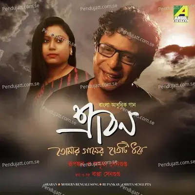 Tomar Gaaner Hatti Dhore - Bappa Sengupta album cover 