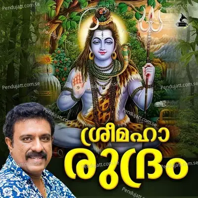 Ardhanareeswara - Mathew album cover 