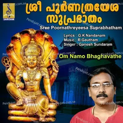 Om Namo Bhaghavathe - Ganesh Sundaram album cover 