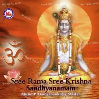 Rama Rama Rama Rama Rama Rama Pahimam - Narayana Krishna album cover 