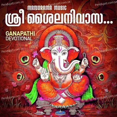 Sree Sailanivasa - T S Radhakrishnaji album cover 