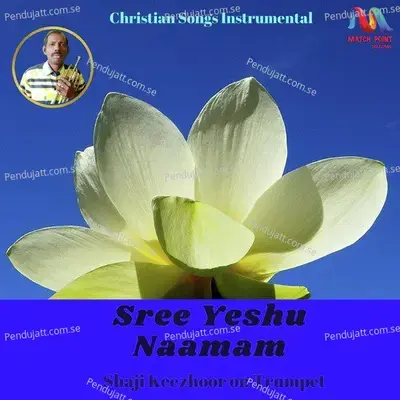 Sree Yeshu Naamam - Shaji Keezhoor album cover 