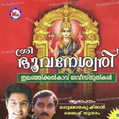 Brahmandaveenayilnadamunarthi - Madhu Balakrishnan album cover 