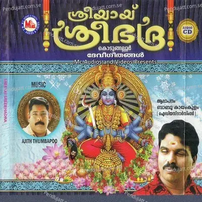 Kadakkannil - Kayamkulam Babu album cover 