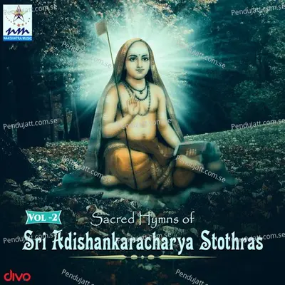 Sri Ananda Lahari Stothram - Anjana Sowmya album cover 