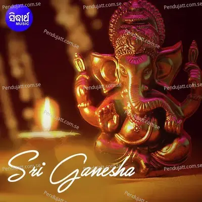 Biswabandana Bighnesha Sri Ganesha - Namita Agrawal album cover 