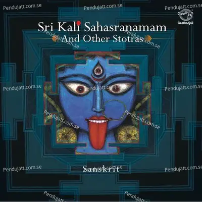 Sri Kali Sahasranamam And Other Stotras - Dr.R. Thiagarajan cover album