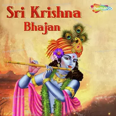 Sri Krishna Bhajan - Sanjayraj Gaurinandan (SRG)