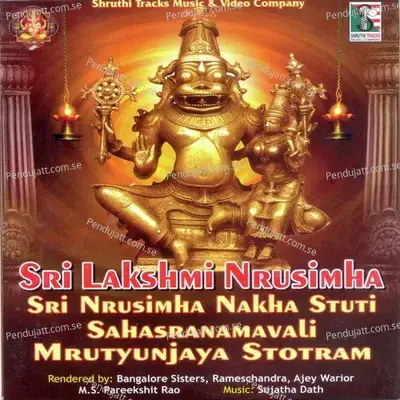 Sri Lakshmi Narasimha Sri Narasimha Nakha Stuti Sahasranamavali Mrutyunjaya Stotram - Various Artists cover album