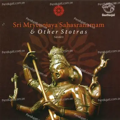 Sri Mrytunjaya Sahasranamam   Other Stotras - Dr.R. Thiagarajan cover album