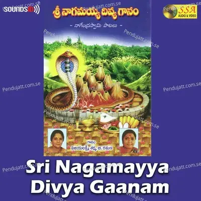 Naagaswaram - J. Purushothama Sai album cover 