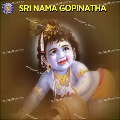 Sri Nama Gopinatha - Rajalakshmee Sanjay cover album