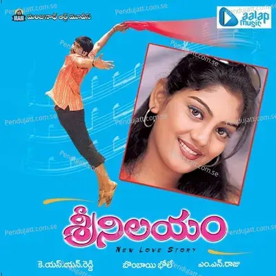 Sri Nilayam - Nari album cover 