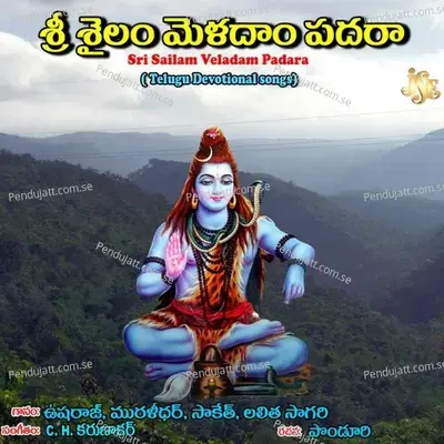 Sri Sailamulo Velasina - Kushi Muralidhar album cover 