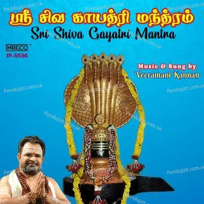 Sri Shiva Gayatri - Veeramani Kannan album cover 