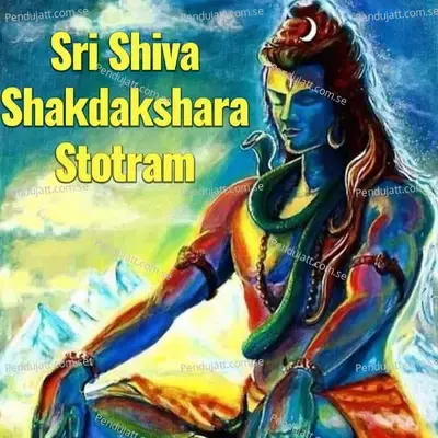 Sri Shiva Shakdakshara Stotram - Veeramani Kannan album cover 