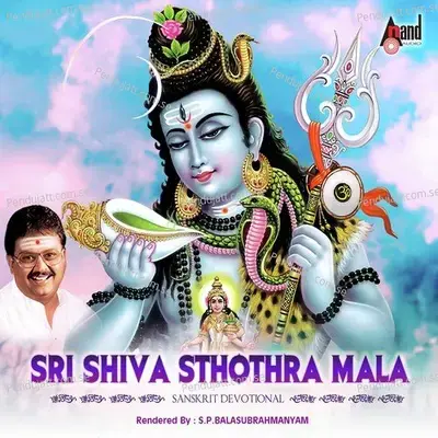 Vishweshwaraya - S.P. Balasubrahmanyam album cover 