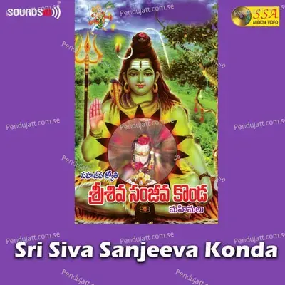 Sanjevakondalo Velasina - Srinivas album cover 