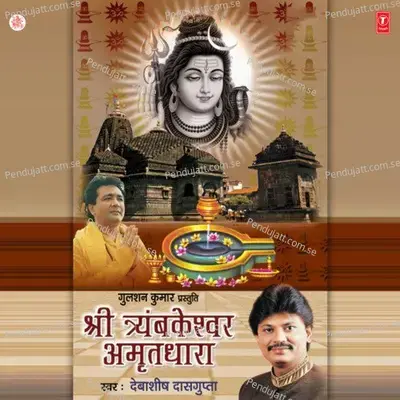 Shri Tryambkeshwar Amritdhara - Debashish Dasgupta album cover 