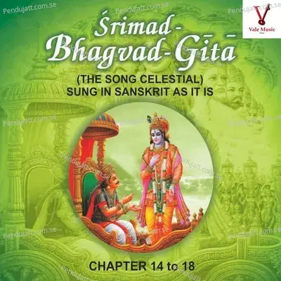 Srimad Bhagvad Gita (Chapter 14 To 18) - Shailendra Bhartti cover album