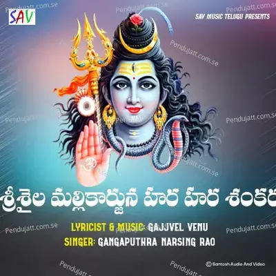 Srisaila Mallikarjuna Hara Hara Shankara - Gangaputra Narsing Rao album cover 