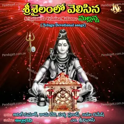 Adigadigo Srisailam - Vadlakonda Anil Kumar album cover 