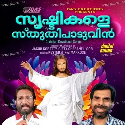 Seeyon Yathrayil 2 - Bindhu Malini album cover 