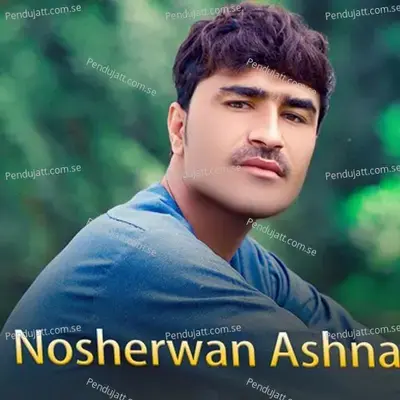 Janan Kho Yaw Anar Dai Tapay - Nosherwan Ashna album cover 