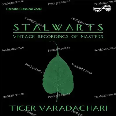 Vatapi Ganapatim - Tiger Varadhachari album cover 