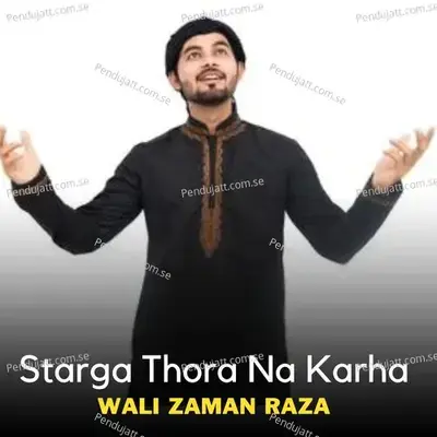 Waziristan Ka Ya Raghale - Wali Zaman Raza album cover 