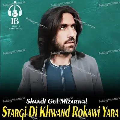 Stargi Di Khwand Rokawi Yara - Shandi Gul Mizarwal album cover 