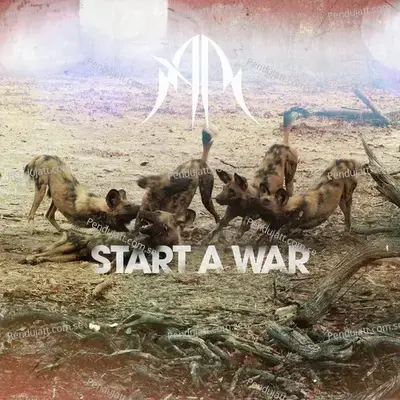 Start A War - Anna Rose album cover 