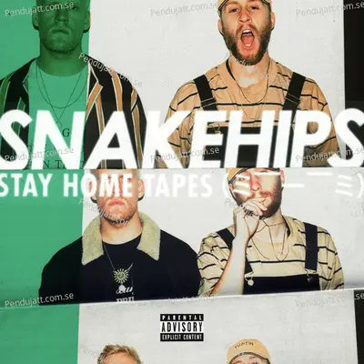 For The F   K Of It - Snakehips album cover 