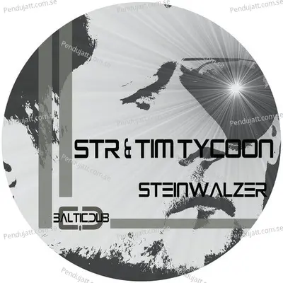 Steinwalzer - Str album cover 