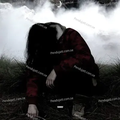 Stevewilkosthrowschair - Bones album cover 
