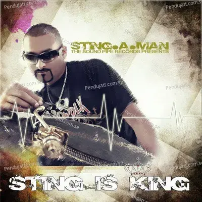 The Intro - Sting-A-Man album cover 